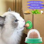 1pcs Healthy Cat Snack Catnip Sugar Candy Licking