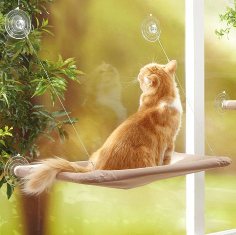 Cute Pet Hanging Beds Cat Sunny Window Seat