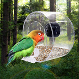 Transparent Bird Feeder With Camera Smart