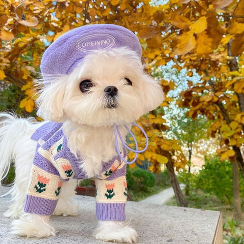 Flower Knitted Sweater for Pets