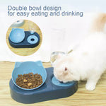 Pet Bowls  Food Water Feeder