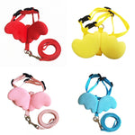 Cute Pet Leashes Collars Set