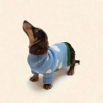 White Cloud Sweater for Dogs