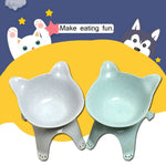 Black Non-Slip Double Food Bowl Pet Feeder