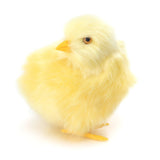 Simulation Lovely Plush Chick Toy Easter