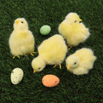 Simulation Lovely Plush Chick Toy Easter