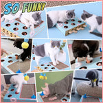 Cat Enrichment Toys for Indoor