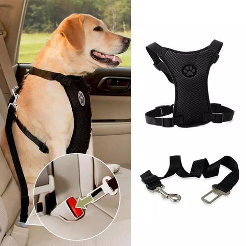 Outdoor Training Dog Snack Bag  Harness Leash