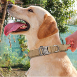 Pet Collar Leash Set Nylon Material