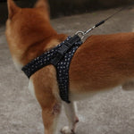 Harness Vest Breathable Pet