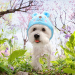 Funny Hat for Cat Crab frog Dress