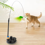 Interactive Cat Toy Funny Simulation