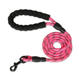 Nylon Training Dog Leash Webbing Recall