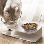 Cat Double Transparent Food Bowl