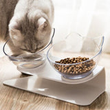 Cat Double Transparent Food Bowl