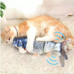 Cat USB Charger Toy Fish Interactive