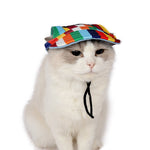 Summer Pet Hat Cap Outdoor