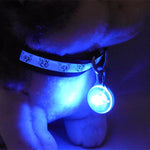 1PC LED Pet Collar Glowing Pendant