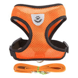 Vest Walking Lead Leash Cat
