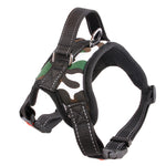 Pet Dog and Cat Adjustable Harness with Leash