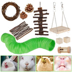 Hamster Chew Toy Set for Rabbit Guinea Pig