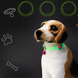 NEW2022 Dogs & Cats Collar with Glowing Bells