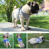 Dog Harness And Leash Set Reflective