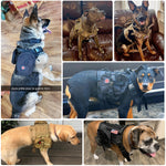 Pet Training Tactical Dog Harness