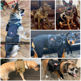 Pet Training Tactical Dog Harness