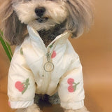 Cute Cherry Coat for Pets