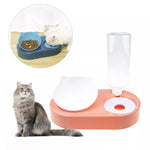 Bowls Food Water Feeding pets Accessories