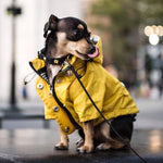 Pet Dog Raincoat with Pockets PU French Bulldog