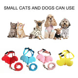 Cute Pet Leashes Collars Set