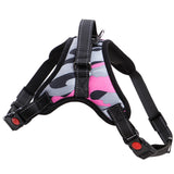 Pet Dog and Cat Adjustable Harness with Leash