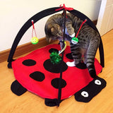 Funny Tent Portable Cat Toys