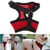 Pet Harness collar