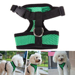 Pet Harness collar