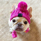 Winter Pet Hat Cap