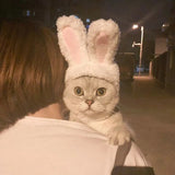 2022/Cat Hood Cute Rabbit Costume Hat