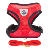 Vest Walking Lead Leash Cat
