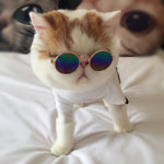 Pet Accessories Glasses Sunglasses Harness
