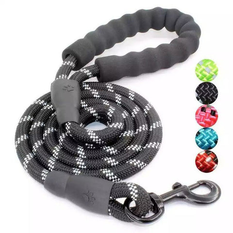 Nylon Training Dog Leash Webbing Recall