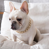 Pet Dog Cat Gold Necklace Collar