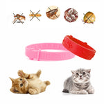 Pet  Collar Anti Flea Mite Lice Insecticide