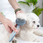 ZK20 cat and dog hair brush