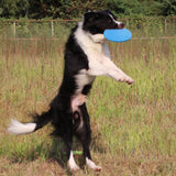Dog Toy 17.8CM Flying Discs for Large Dog