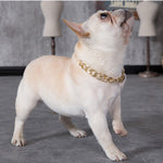 Pet Dog Cat Gold Necklace Collar