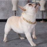 Pet Dog Cat Gold Necklace Collar