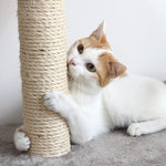 3 Scratching Deterrent Tree for Indoor Cats