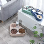 3In1 Pets Food Bowl with Bottle Automatic Drinking Feeder